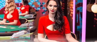 5567 com bet